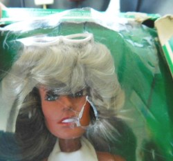 farrah in box face